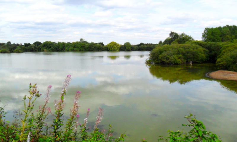 Whisby Nature Park