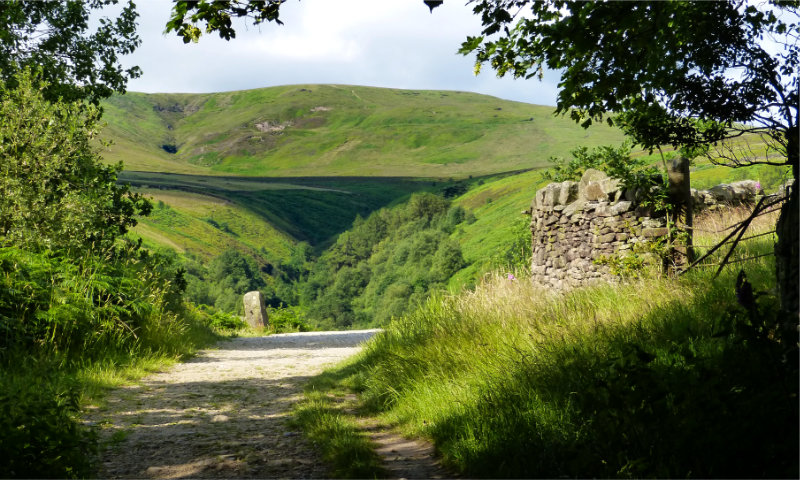 Digley Reservoir (4)