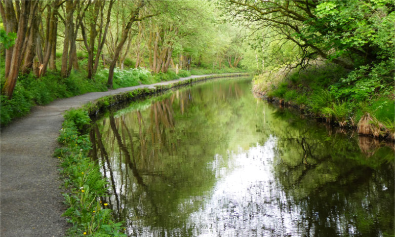 Marsden area (1)