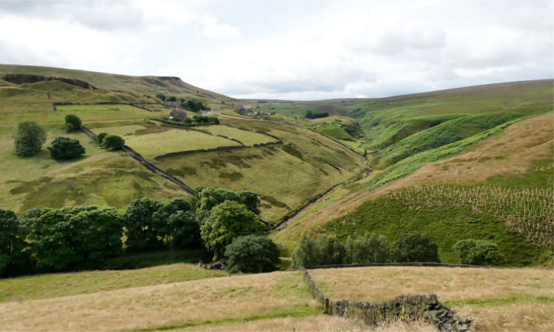 Marsden area (5)