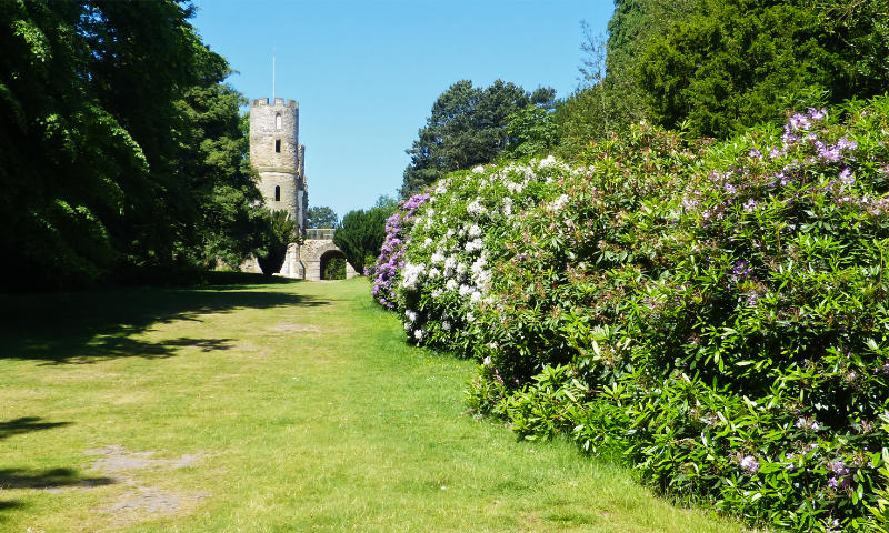 Wentworth Castle (5)